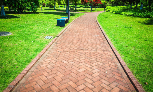 Maintaining Pave Uni: Tips for Longevity and Durability