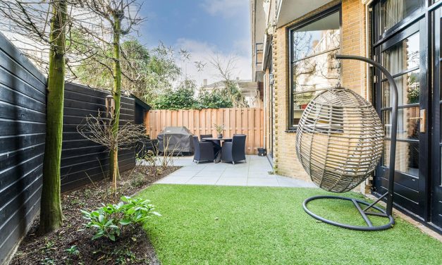 How Much Does It Cost to Renovate a Backyard?